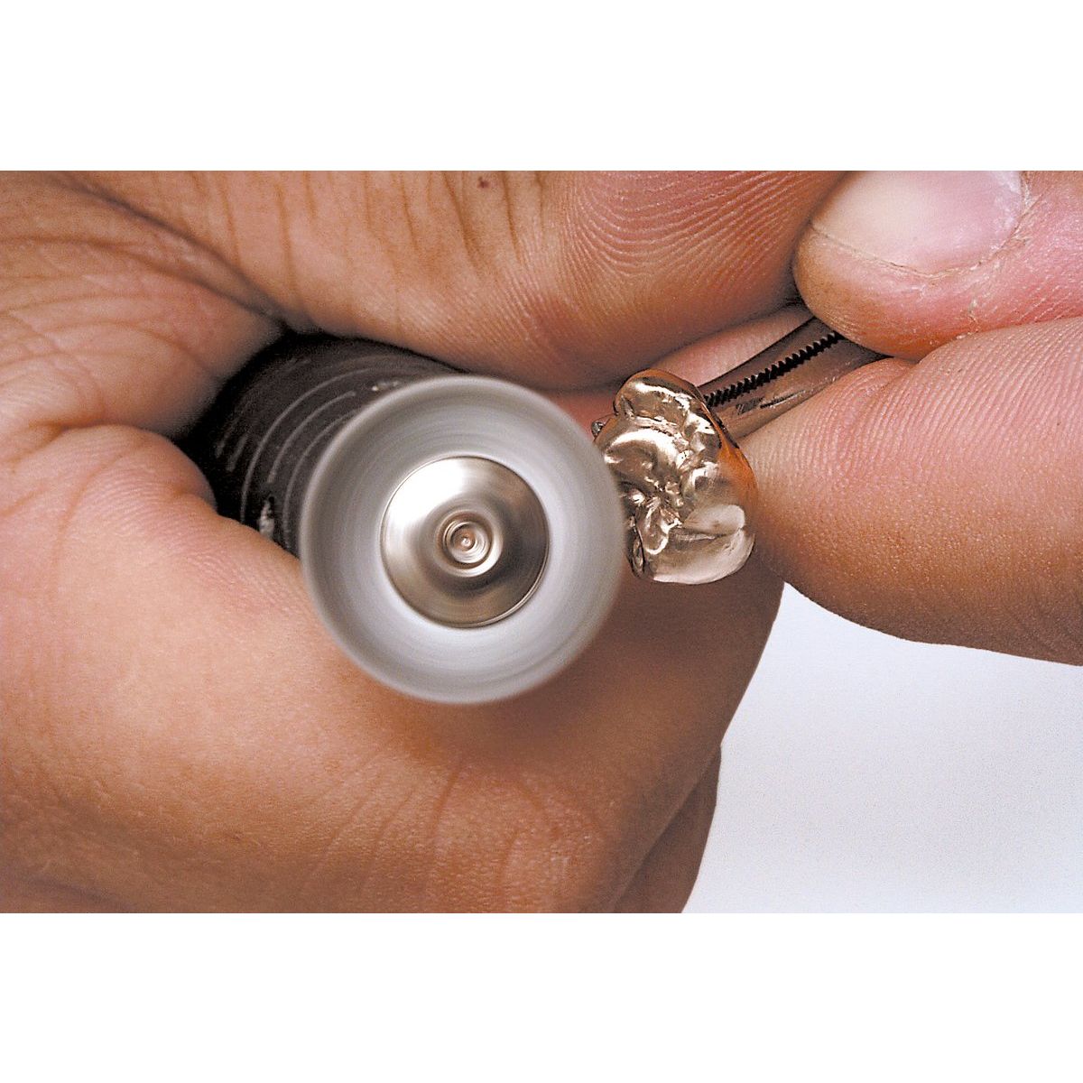 Silver wire brushes, Renfert