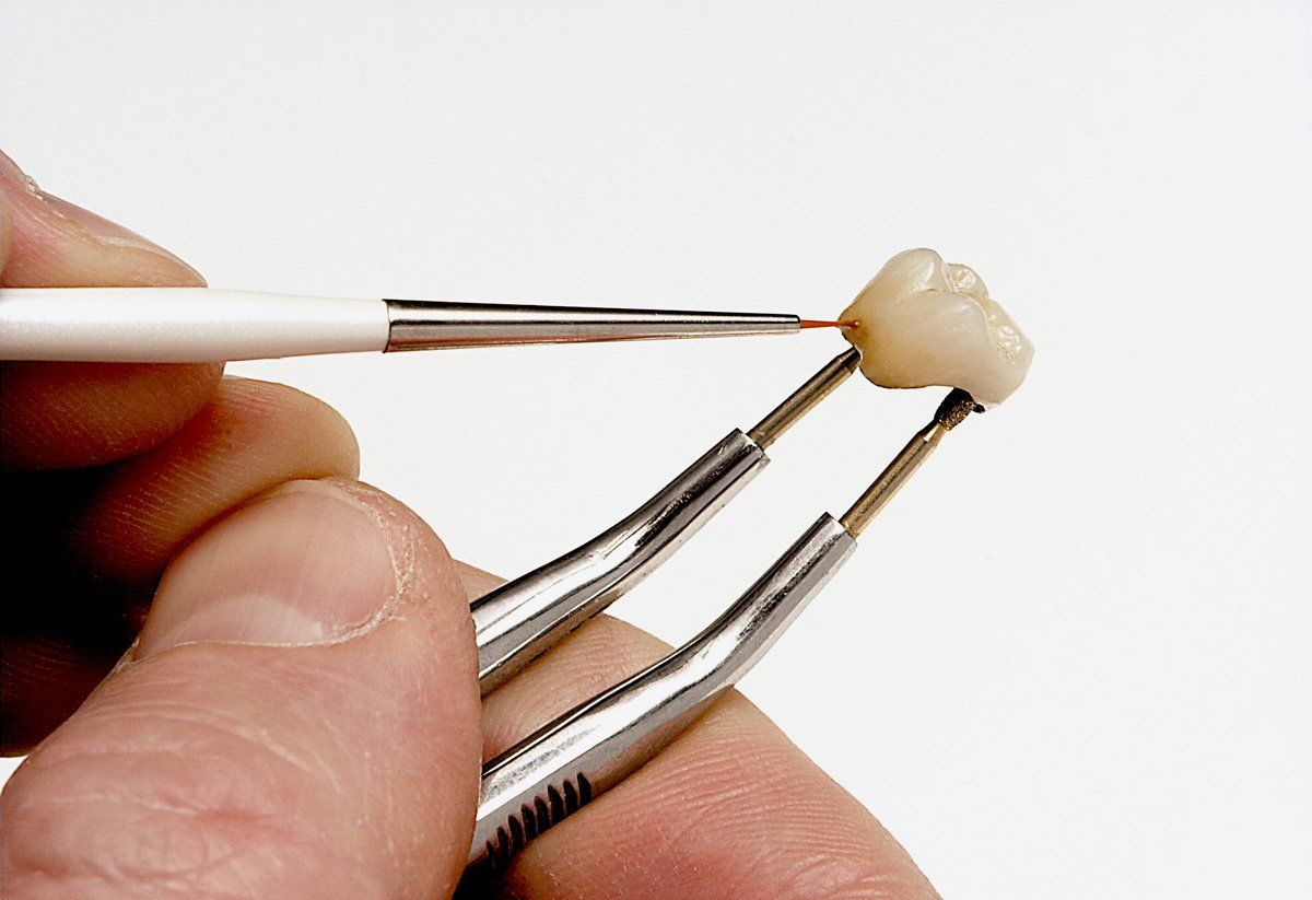 Takanishi synthetic bristle brush