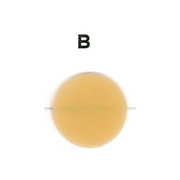 ZR ArtOral Dentina Cromatica 15g - B