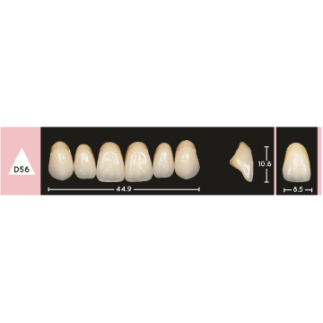 Enigmalife Anterier - D56 - Upper