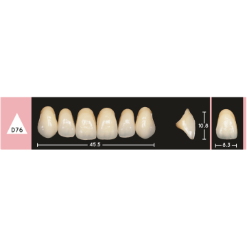 Enigmalife Anterier - D76 - Upper