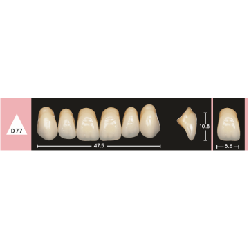 Enigmalife Anterier - D77 - Upper