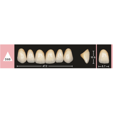 Enigmalife Anterier - D88 - Upper