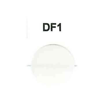 ZR ArtOral Dentina Fluorescente 15g - DF1 