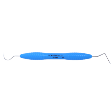 Explorer 23-Probe WHO