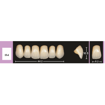 Enigmalife Anterier - IR4 - Upper