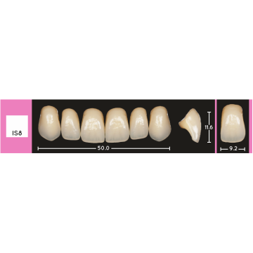 Enigmalife Anterier - IS8 - Upper