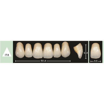 Enigmalife Anterier - IT8 - Upper