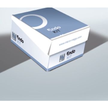 One Shape - Endo Kit