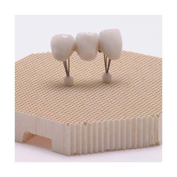 Schottlander Simplifire Pins Box 5 pcs