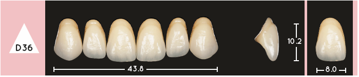 Enigmalife Anterier - D36 - Upper