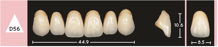 Enigmalife Anterier - D56 - Upper