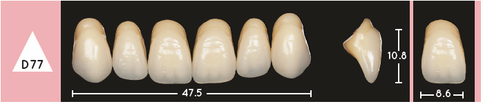 Enigmalife Anterier - D77 - Upper
