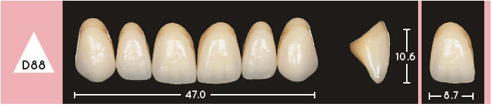 Enigmalife Anterier - D88 - Upper