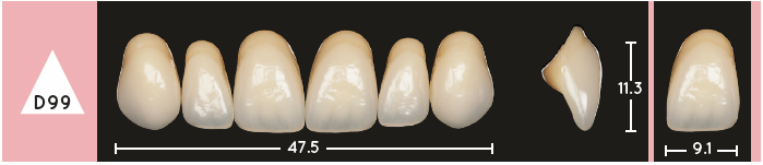 Enigmalife Anterier - D99 - Upper