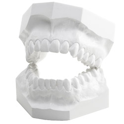 Giluplaster Alabaster, Kuvettgips/Artikuleringsgips KL II - 25kg           