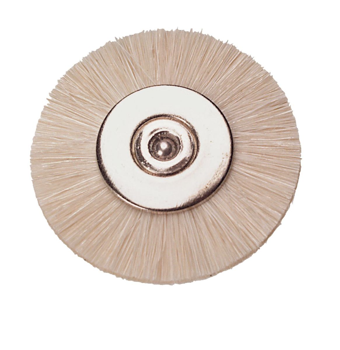 Goat hair brush 12pk