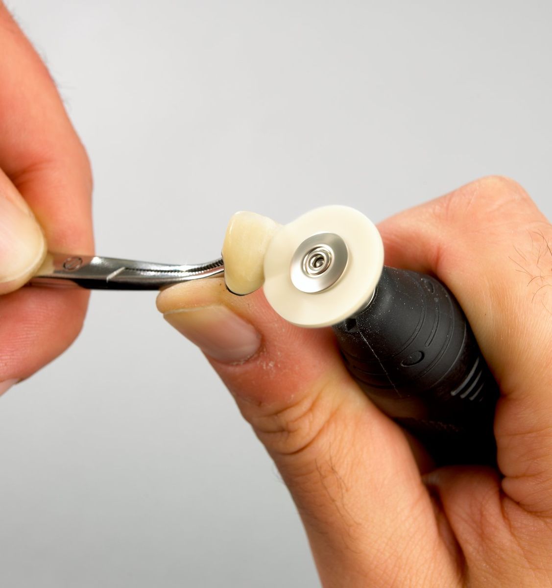 Goat hair brush 12pk