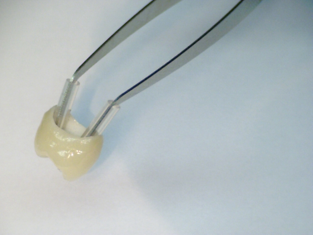 Crown & Bridge Holder