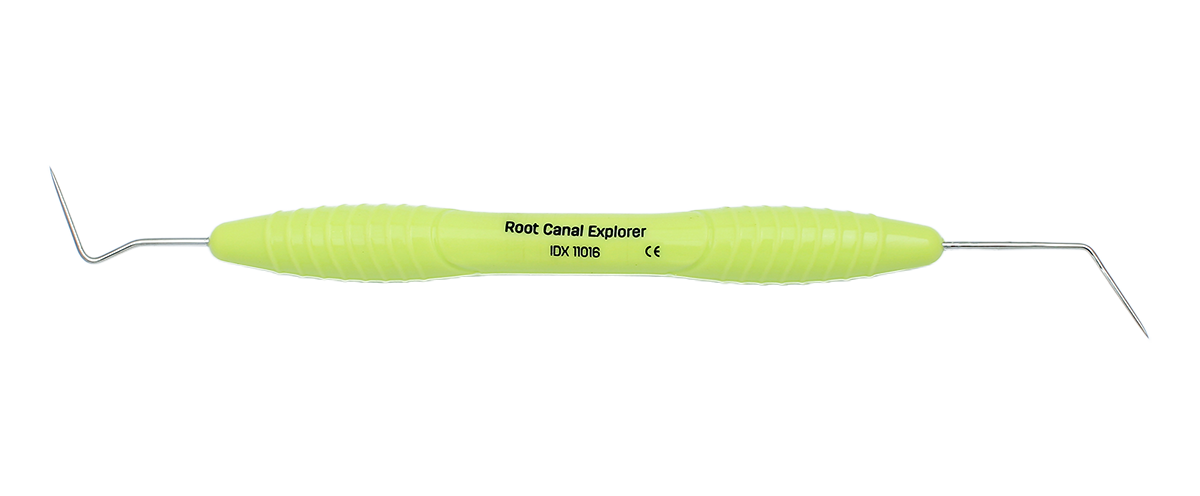 Root Canal Explorer