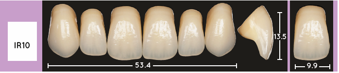Enigmalife Anterier - IR10 - Upper