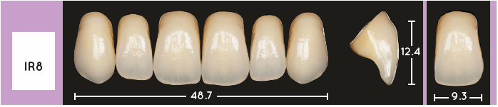 Enigmalife Anterier - IR8 - Upper