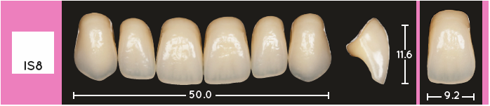 Enigmalife Anterier - IS8 - Upper