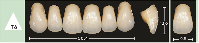 Enigmalife Anterier - IT8 - Upper