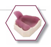 INTERLUX light polymerization unit