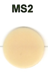 ZR ArtOral Massa Spalla 10g - MS2