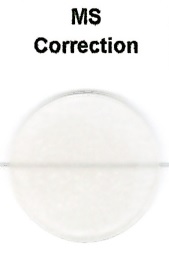 ZR ArtOral Massa Spalla 10g - MS Correction