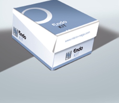 One Shape - Endo Kit