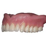 Pegasus Plus Denture Base 500 g Pink